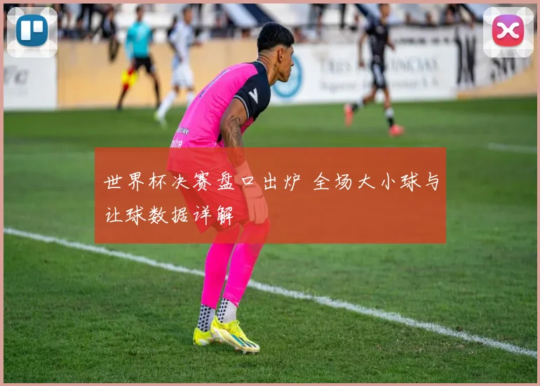 世界杯决赛盘口出炉 全场大小球与让球数据详解