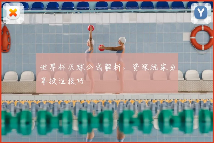 世界杯买球公式解析，资深玩家分享投注技巧