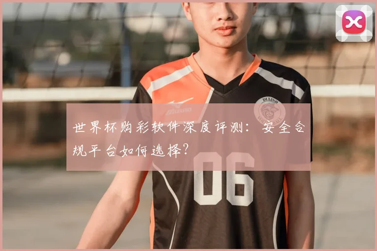 世界杯购彩软件深度评测：安全合规平台如何选择？
