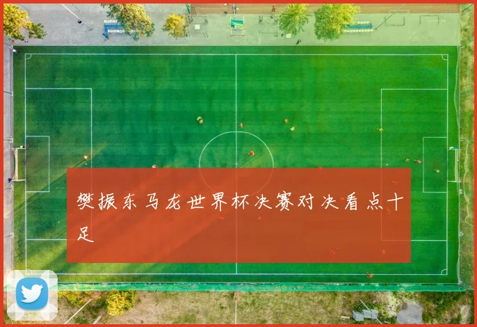 樊振东马龙世界杯决赛对决看点十足
