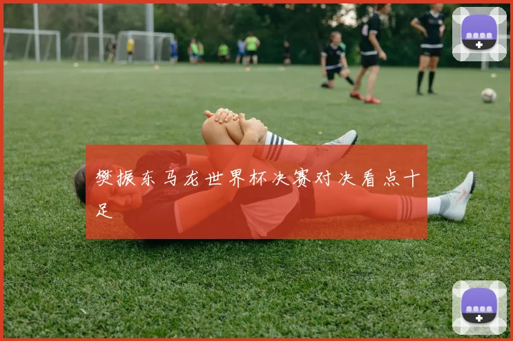 樊振东马龙世界杯决赛对决看点十足