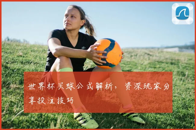 世界杯买球公式解析，资深玩家分享投注技巧