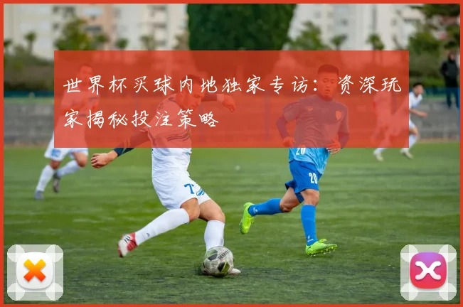 世界杯买球内地独家专访:资深玩家揭秘投注策略