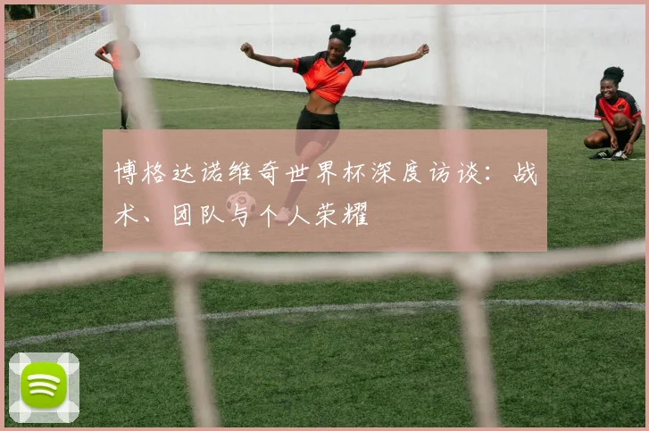 博格达诺维奇世界杯深度访谈：战术、团队与个人荣耀