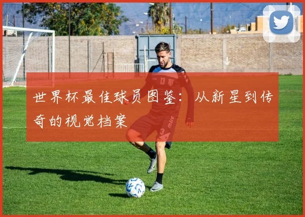 世界杯最佳球员图鉴：从新星到传奇的视觉档案