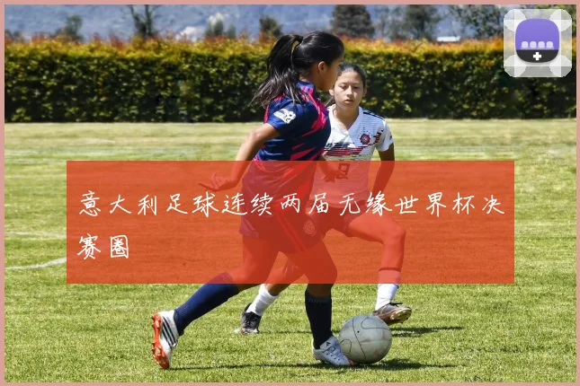 意大利足球连续两届无缘世界杯决赛圈