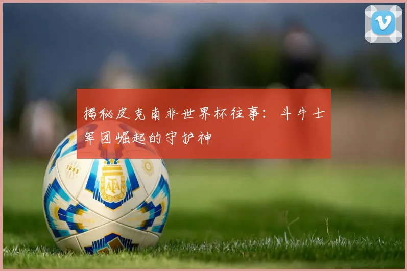 揭秘皮克南非世界杯往事：斗牛士军团崛起的守护神