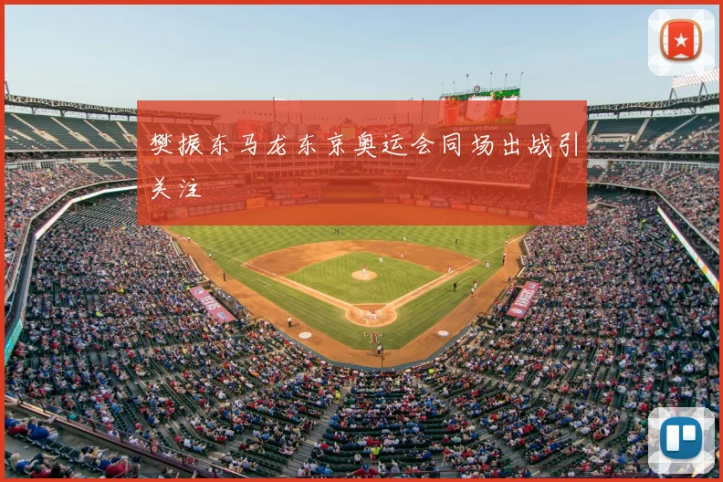 樊振东马龙东京奥运会同场出战引关注