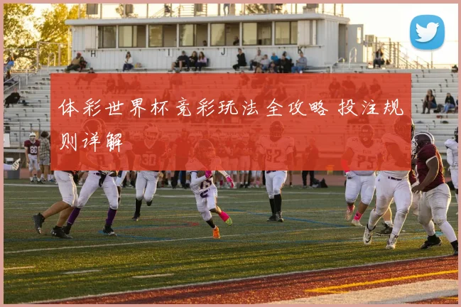 体彩世界杯竞彩玩法全攻略 投注规则详解