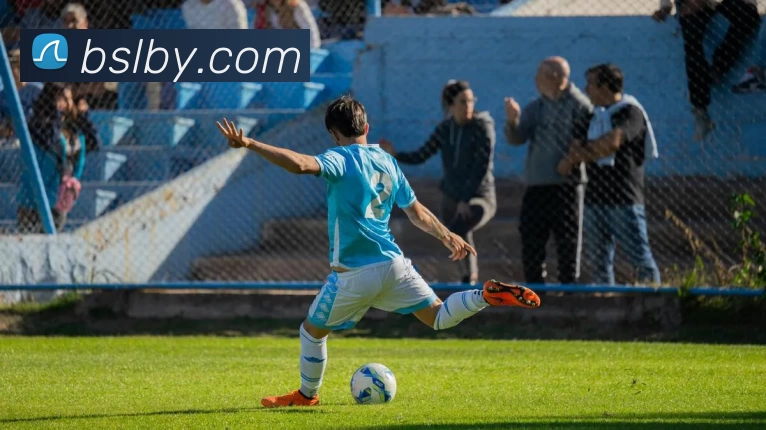 pp电子平台生态图